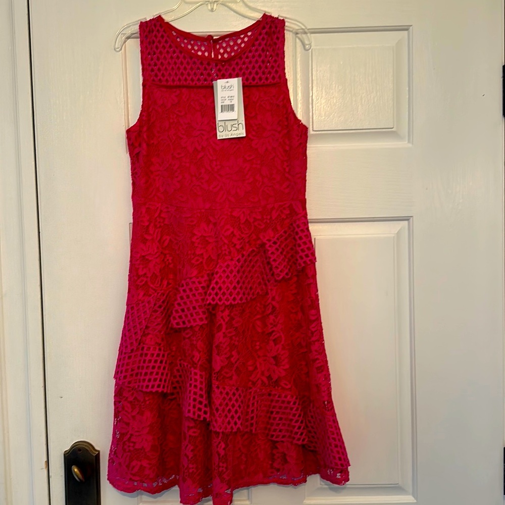 Girls lace broderie dress NWT 16 Blush by Us Angels